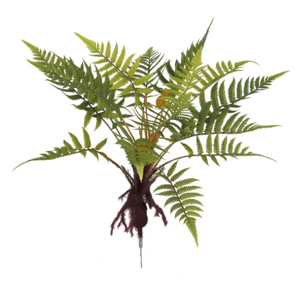 FOUGERE artificielle mexicaine sur racine 45 cm