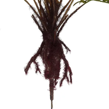 FOUGERE artificielle mexicaine sur racine 45 cm - racines