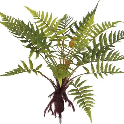 FOUGERE artificielle mexicaine sur racine 45 cm