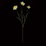 NARCISSE artificielle 68 cm - en tige