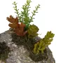 SUCCULENTES artificielles sur rocaille 16 cm modèle A - détail
