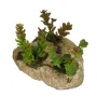 SUCCULENTES artificielles sur rocaille 16 cm - modèle  B