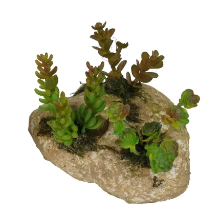 SUCCULENTES artificielles sur rocaille 16 cm - modèle  B