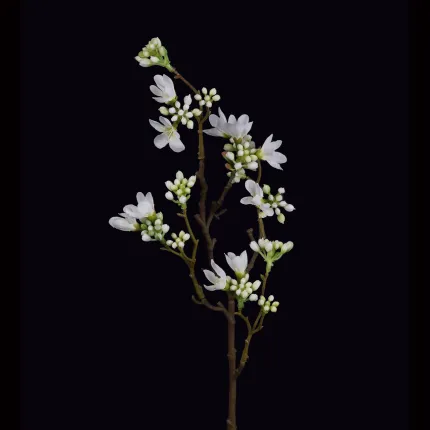 HEPACODIUM artificiel ou seven son flower 52 cm