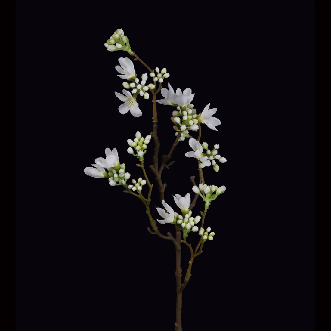 HEPACODIUM artificiel ou seven son flower 52 cm