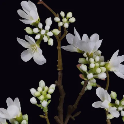 HEPACODIUM artificiel ou seven son flower 52 cm - détails fleurs