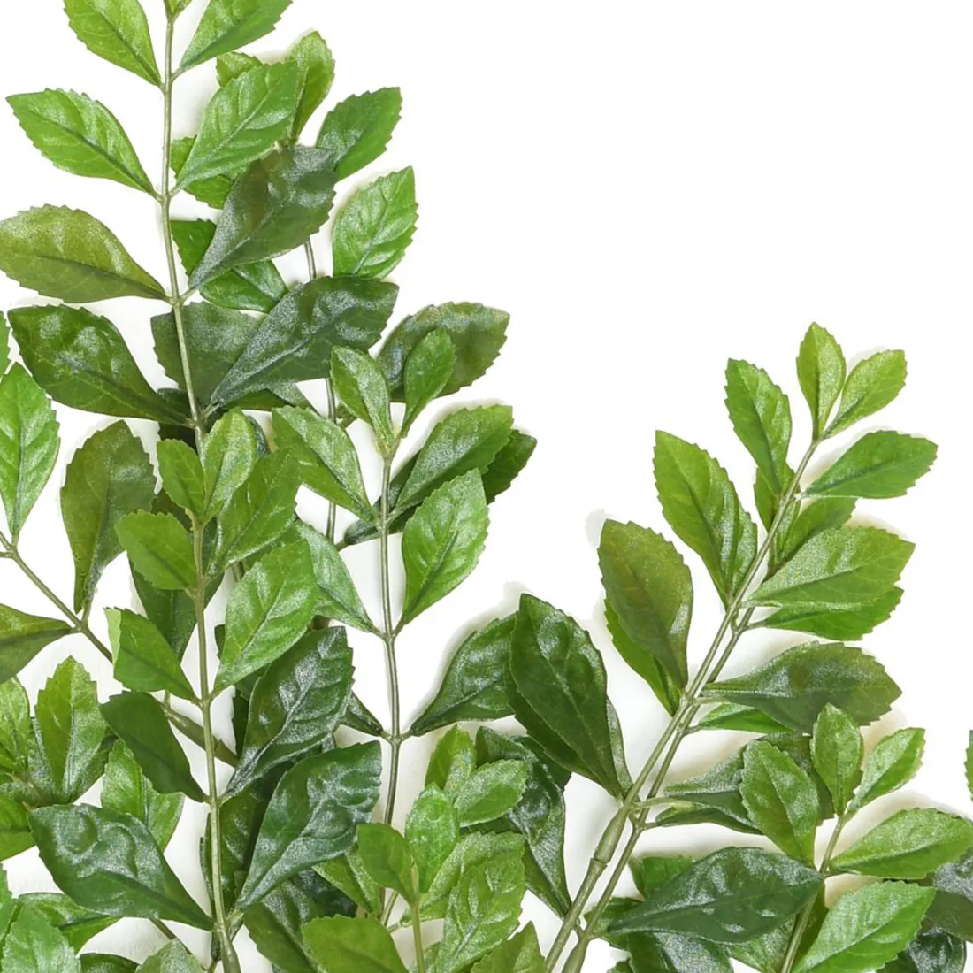 branche ACACIA artificiel 70 cm - détails feuilles