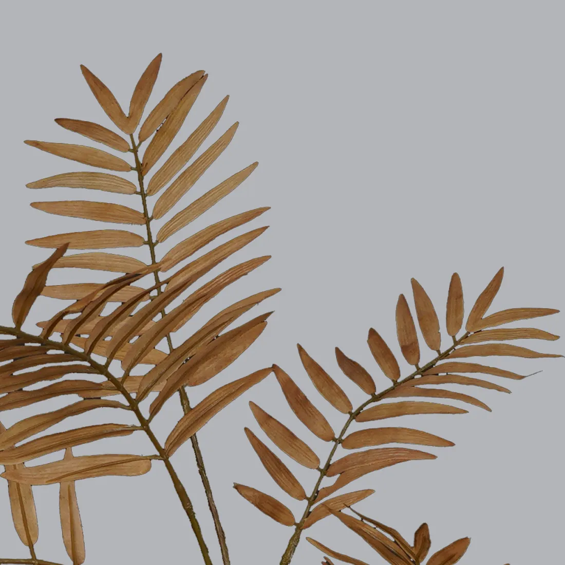 tige de PARLOUR artificielle 120 cm marron clair - détails feuilles