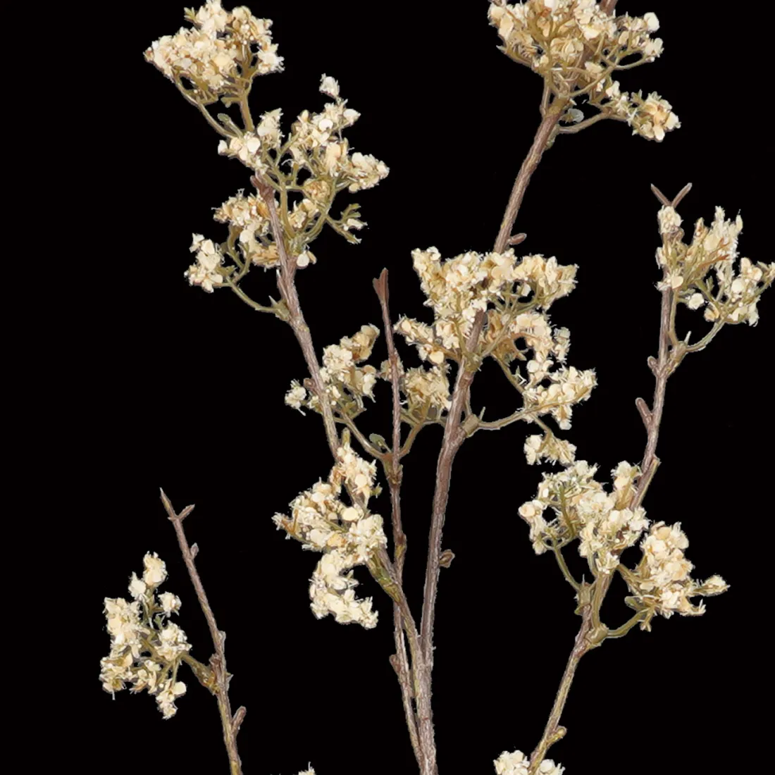 Limonium artificiel ou statice artificiel esprit séché 76 cm - détails