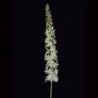 EREMURUS ou LIS DES STEPPES artificiel 107 cm sur fond