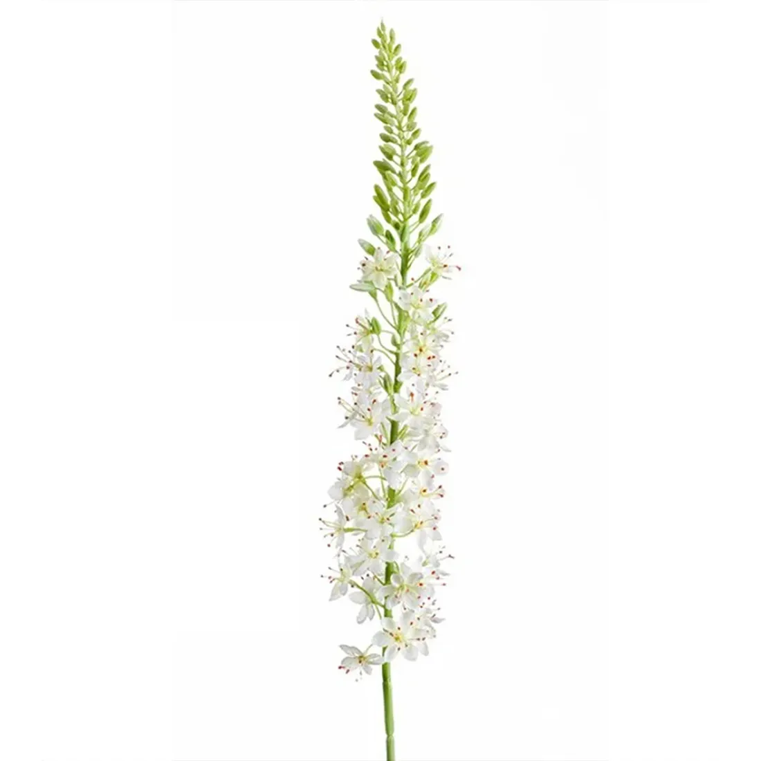 EREMURUS ou LIS DES STEPPES artificiel 107 cm