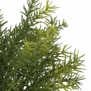 ASPARAGUS artificielle en pot 24 cm - détails feuilles