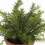 ASPARAGUS artificielle en pot 24 cm - vue rapprochée
