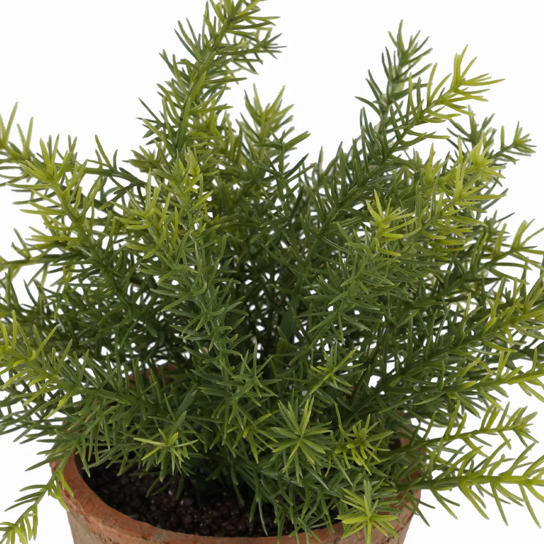 ASPARAGUS artificielle en pot 24 cm - vue rapprochée
