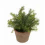 ASPARAGUS artificielle en pot 24 cm
