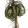 TILLANDSIA STREPTOPHYLLA artificiel 82 cm - tête
