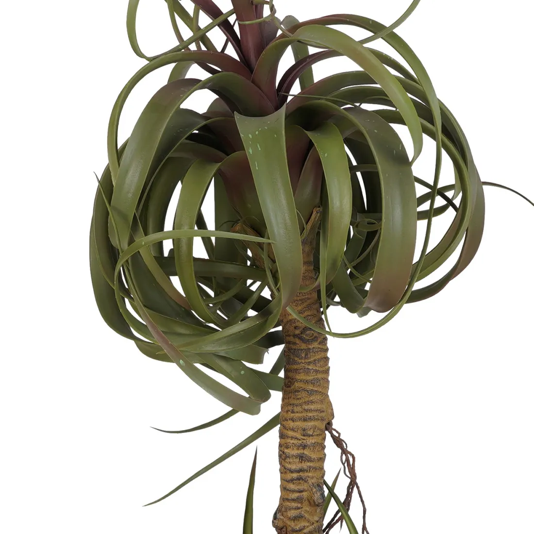 TILLANDSIA STREPTOPHYLLA artificiel 82 cm - tête