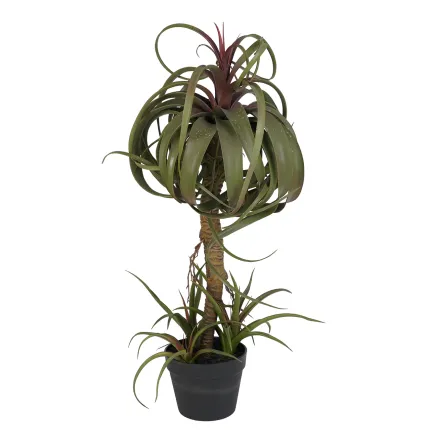 TILLANDSIA STREPTOPHYLLA artificiel 82 cm