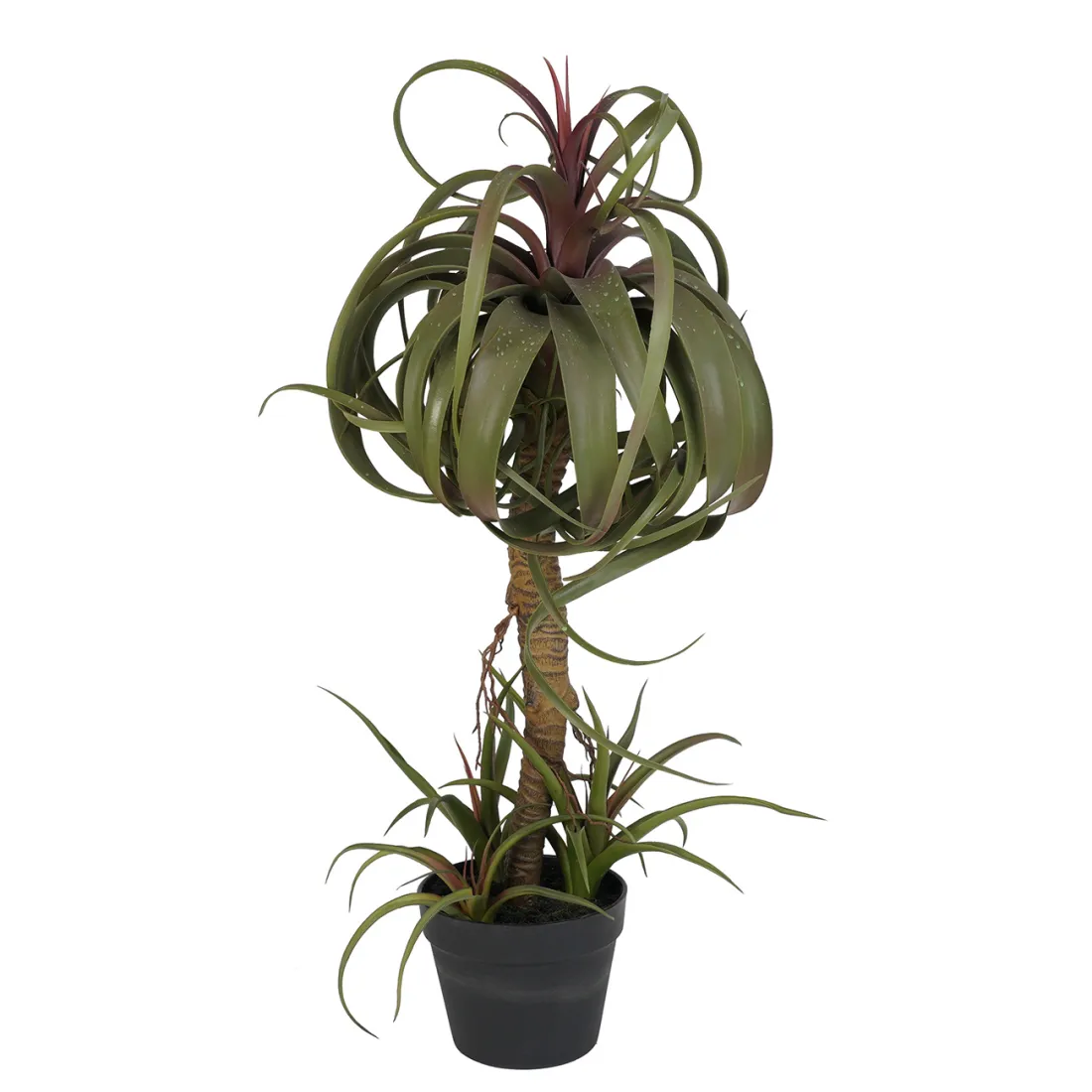 TILLANDSIA STREPTOPHYLLA artificiel 82 cm