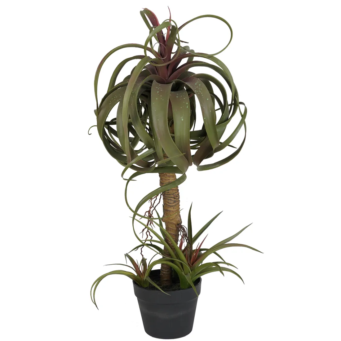 TILLANDSIA STREPTOPHYLLA artificiel 82 cm - dos