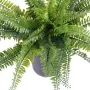 FOUGERE artificielle Boston plastique diam 50 cm - vu par dessus