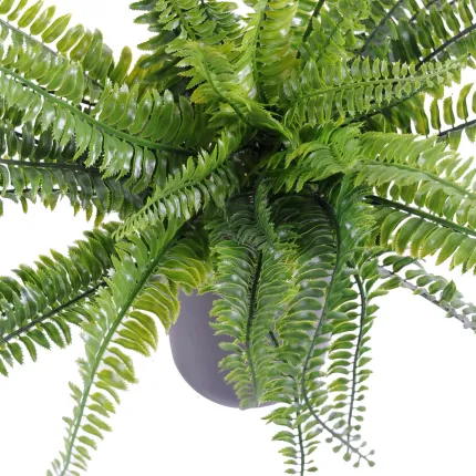 FOUGERE artificielle Boston plastique diam 50 cm - vu par dessus
