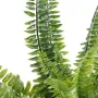 FOUGERE artificielle Boston plastique diam 50 cm - feuilles détails