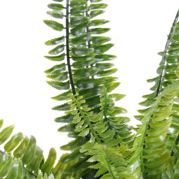 FOUGERE artificielle Boston plastique diam 50 cm - feuilles détails
