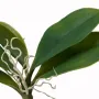 mini feuille PHALAENOPSIS artificielle 17 cm - détails