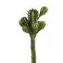 CACTUS artificielle 18 cm