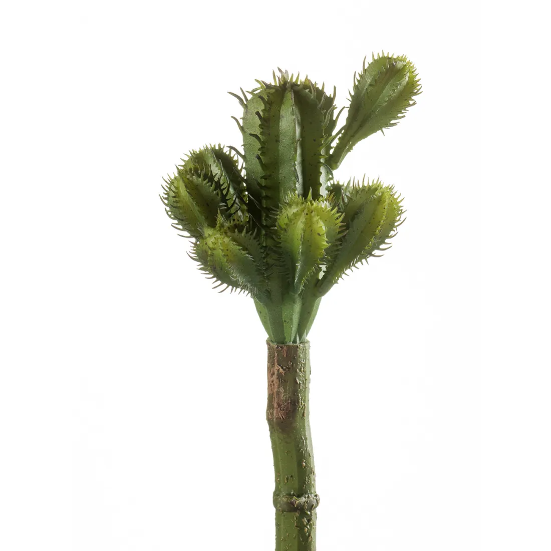 CACTUS artificielle 18 cm