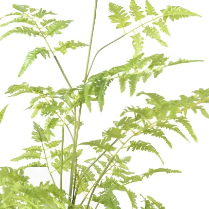 feuillage FOUGERE artificielle sur plot