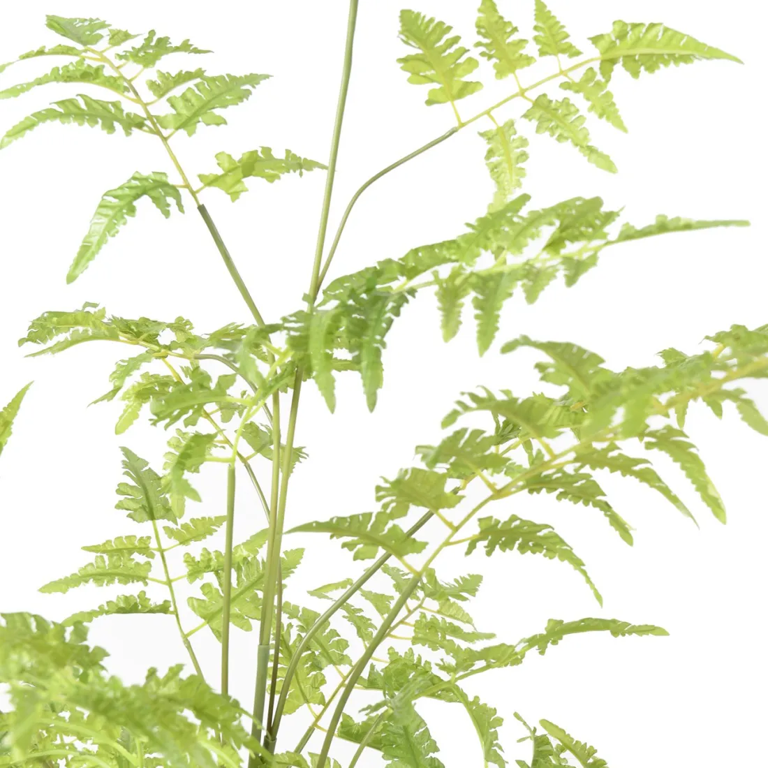 feuillage FOUGERE artificielle sur plot