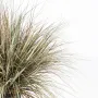 ONION GRASS artificiel AUTOMNE 50 à 70 cm - couleurs brin détails