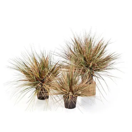 ONION GRASS artificiel AUTOMNE 50 à 70 cm