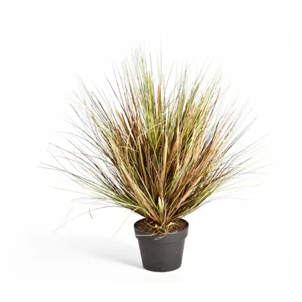 ONION GRASS artificiel AUTOMNE 50 cm