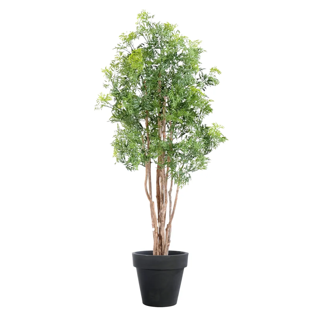 ARALIA artificiel MING NITIDA  150 cm avec pot de présentation