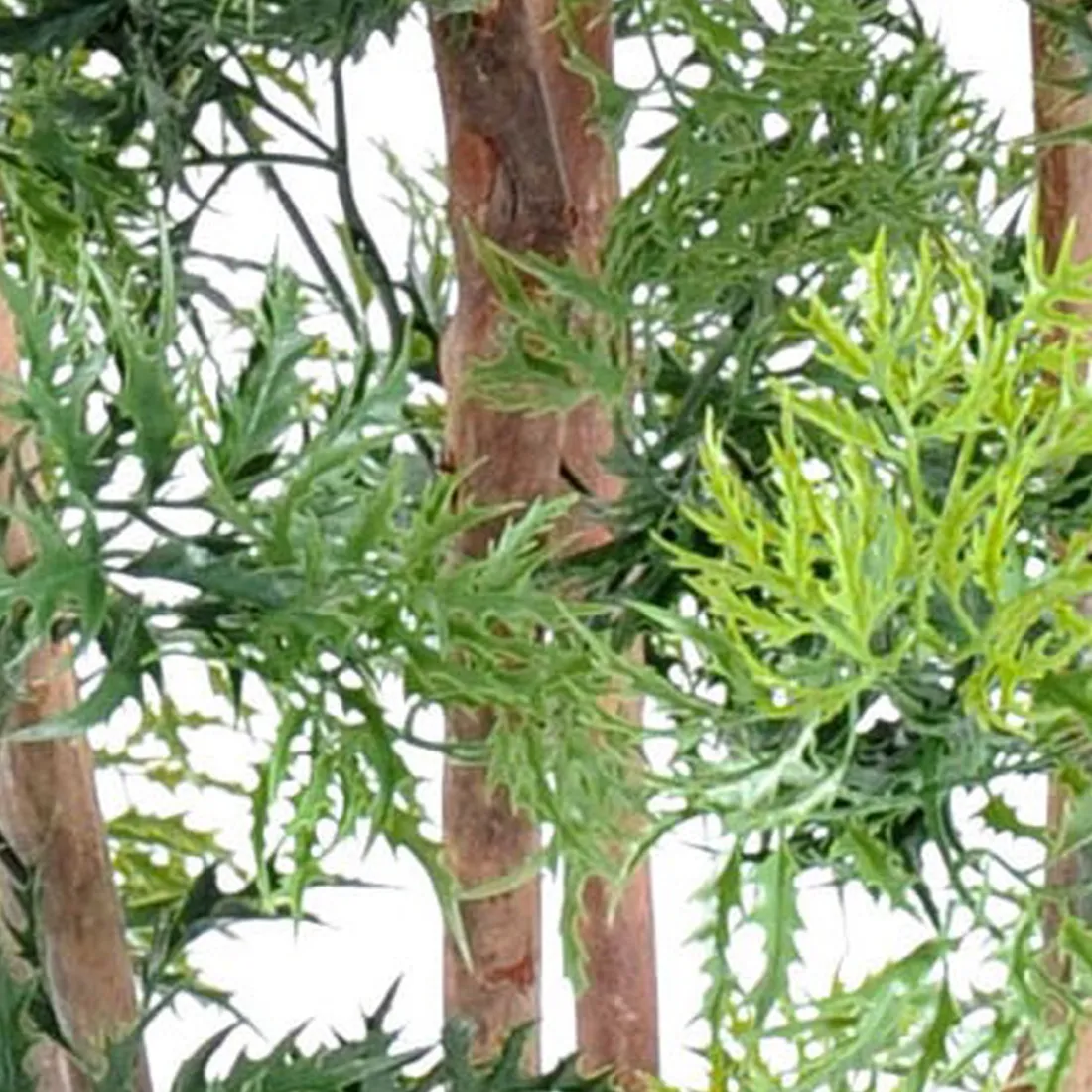 ARALIA artificiel MING NITIDA  150 ou 180 cm