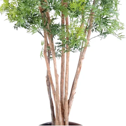 ARALIA artificiel MING NITIDA  150 et 180 cm - tronc