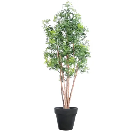 ARALIA artificiel MING NITIDA  180 cm avec pot de présentation