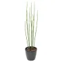 PRÊLE artificielles  65 cm en pot