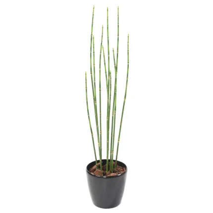 PRÊLE artificielles  65 cm en pot
