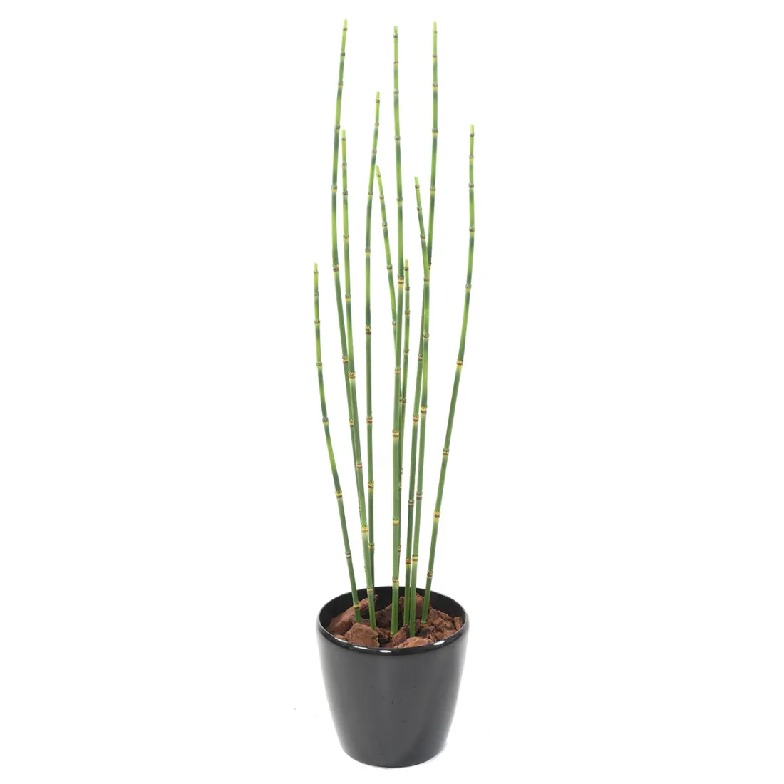 PRÊLE artificielles  65 cm en pot