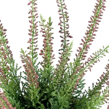 bruyere mini artificielle 30 cm