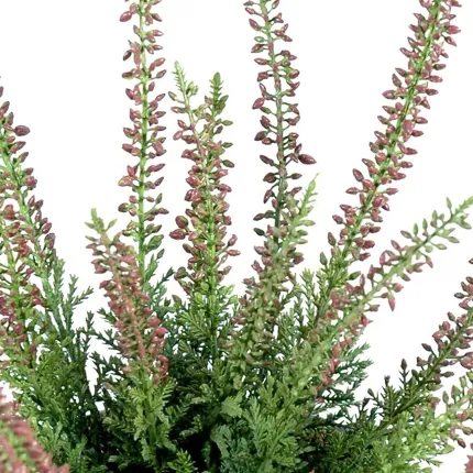 bruyere mini artificielle 30 cm