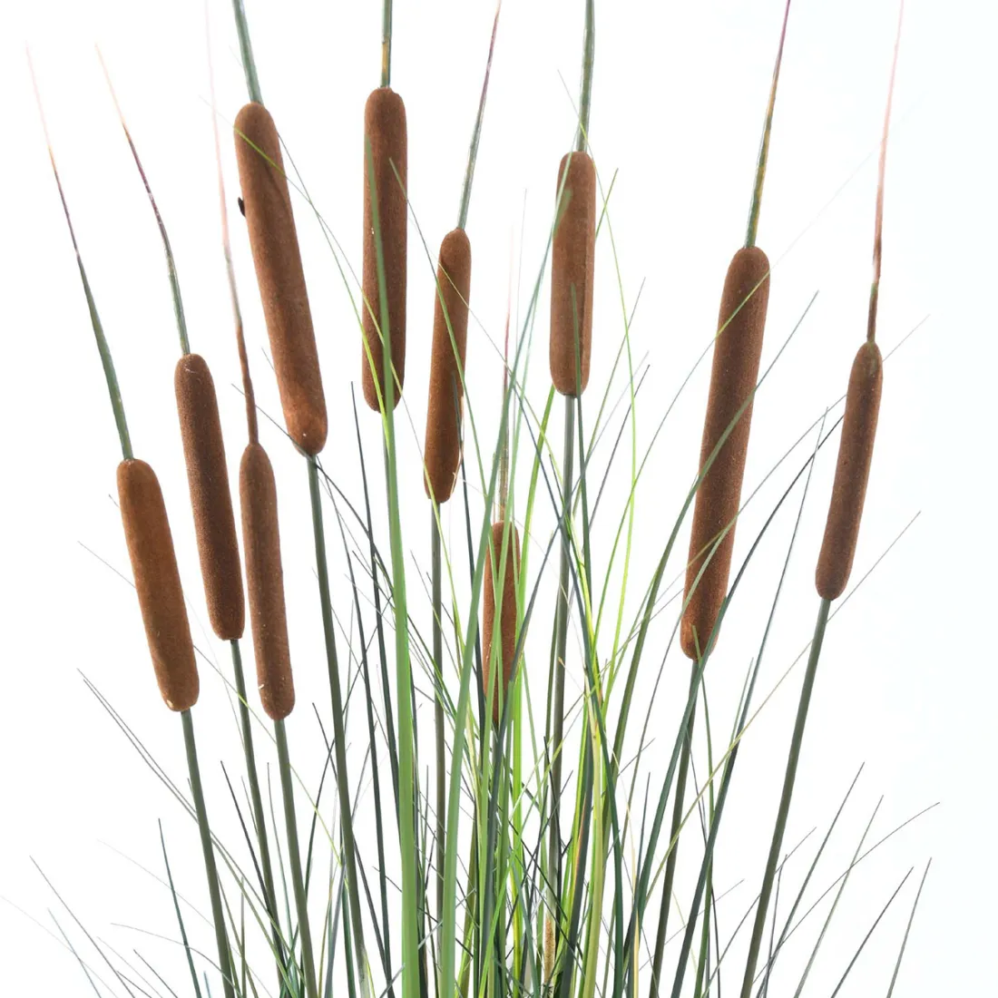 ROSEAUX artificiel 120 cm - détails pompon