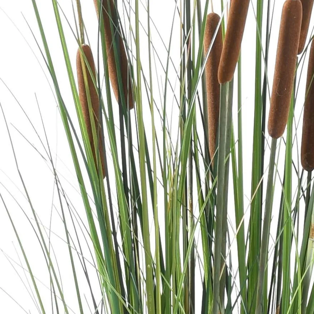 ROSEAUX artificiel 150 cm - détails