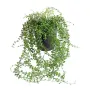 CALLISIA  plastique artificiel 70 cm en pot