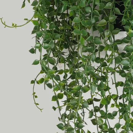 CALLISIA  plastique artificiel 70 cm en pot - feuilles