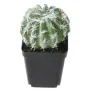 barrel cactus artificiel EN POT ou coussin belle mère 16 cm